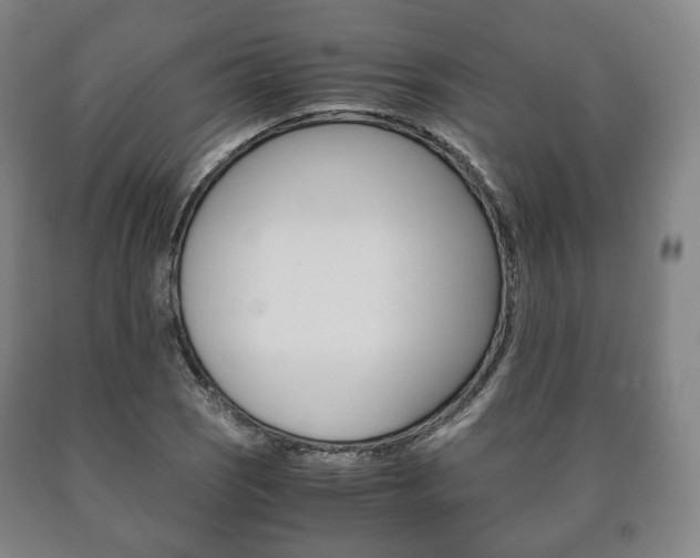 X0000090901121200707301006