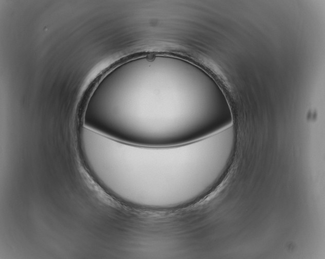 X0000090901122200707301006