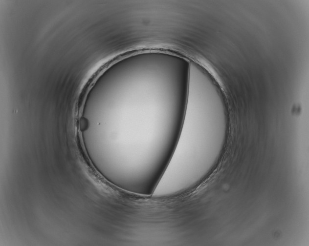 X0000090901124200707301006