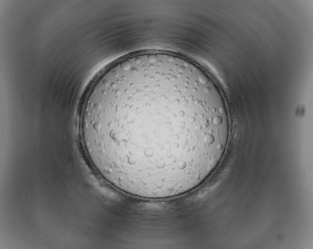 X0000090901125200707301006