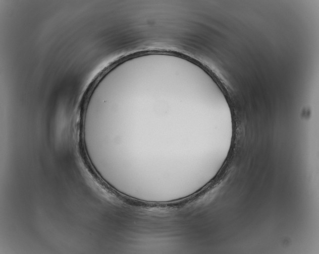 X0000090901126200707301006