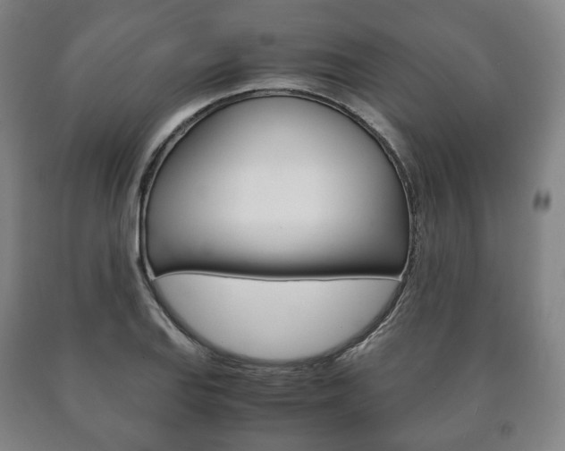 X0000090901127200707301006
