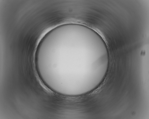 X0000090901128200707301006