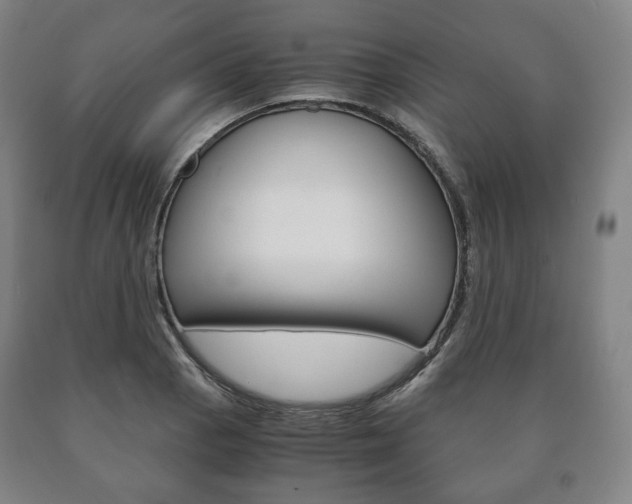 X0000090901129200707301006