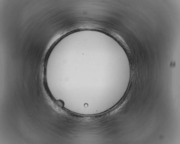 X0000090901130200707301006