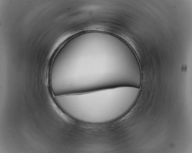 X0000090901131200707301006