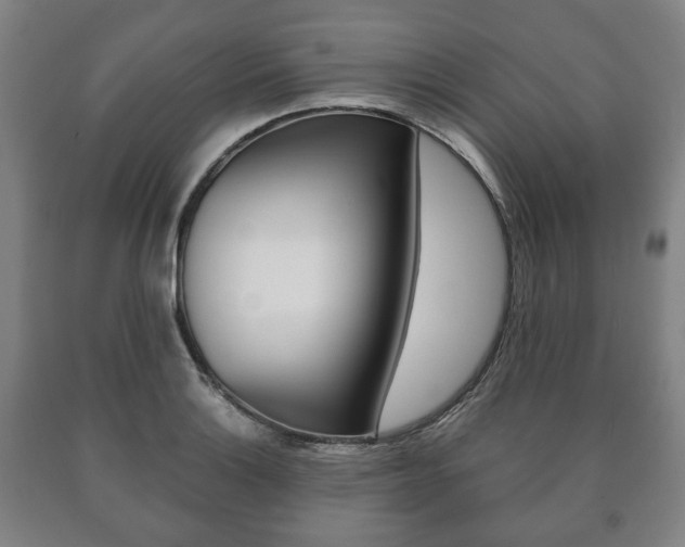 X0000090901132200707301006