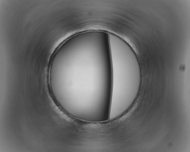 X0000090901134200707301006