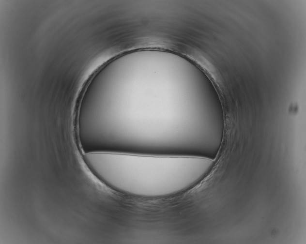 X0000090901135200707301006