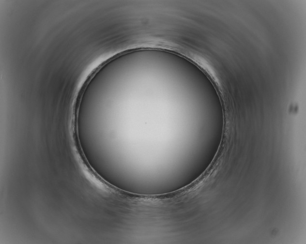 X0000090901136200707301006