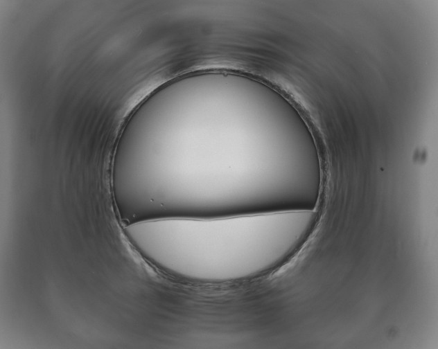 X0000090901137200707301006