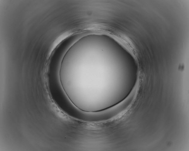 X0000090901138200707301006