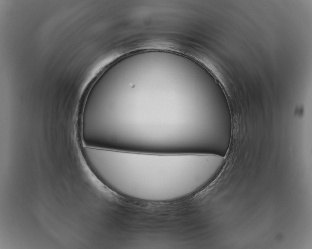 X0000090901139200707301006