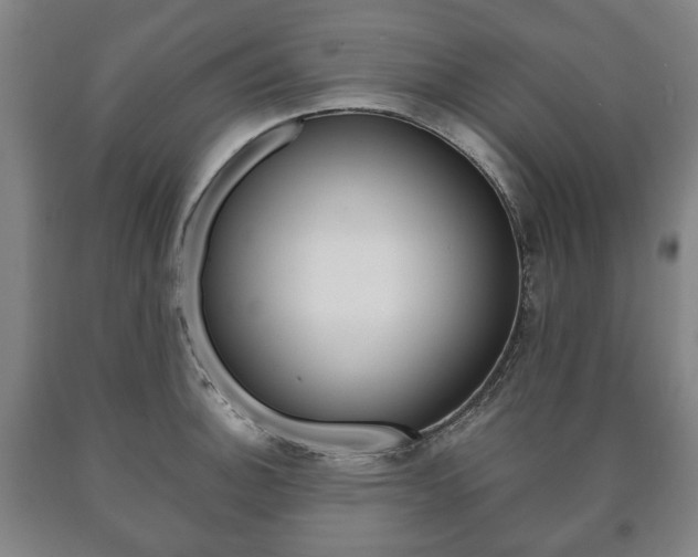 X0000090901140200707301006