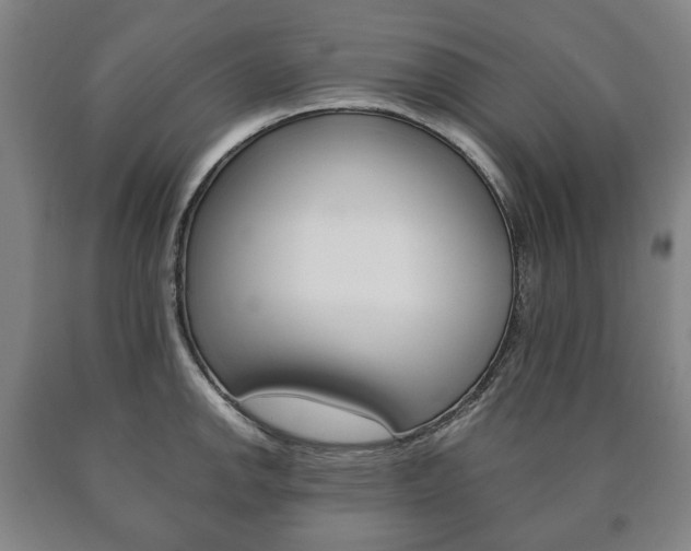 X0000090901142200707301006