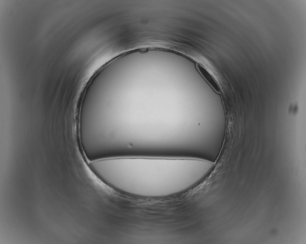 X0000090901143200707301006