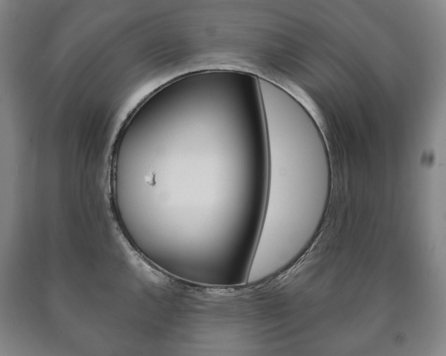 X0000090901144200707301006