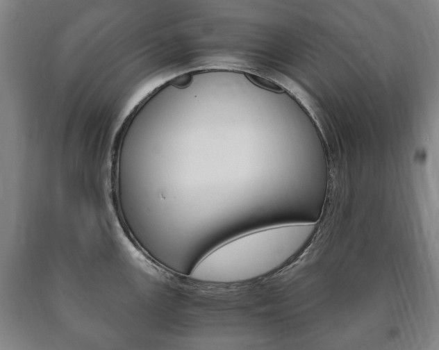 X0000090901147200707301006