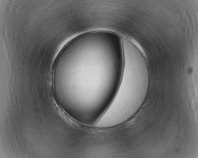 X0000090901148200707301006