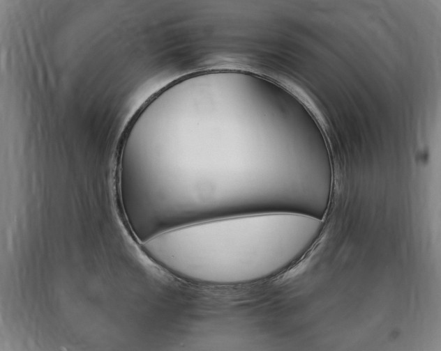 X0000090901149200707301006