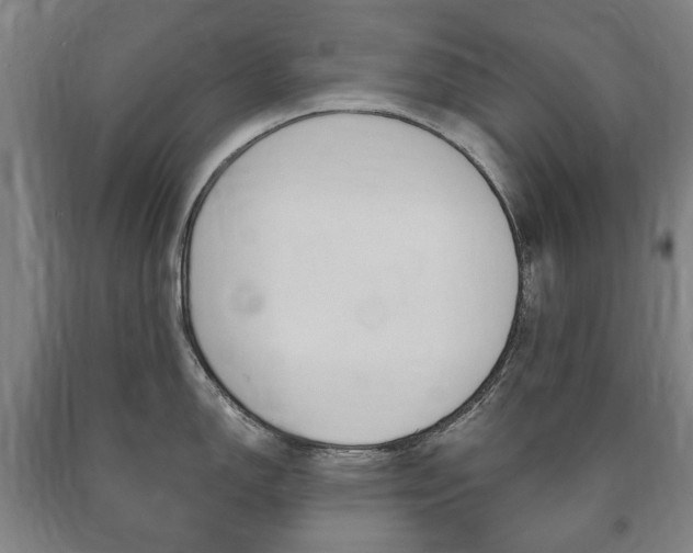 X0000090901150200707301006