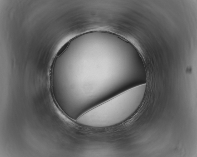 X0000090901151200707301006