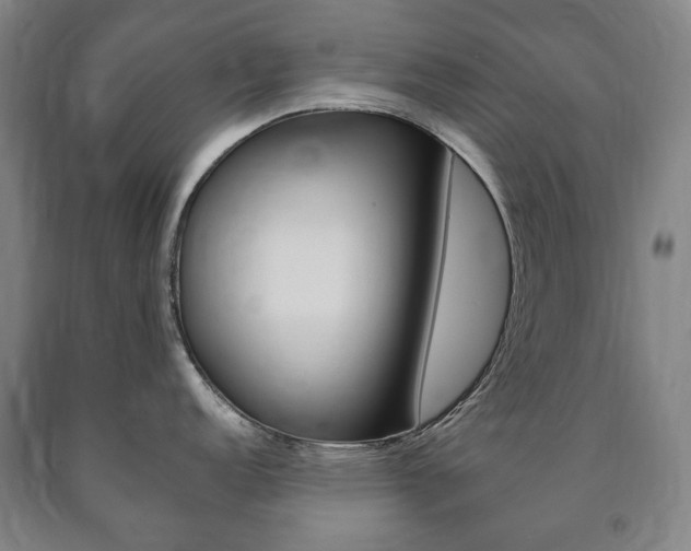 X0000090901152200707301006