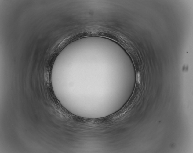 X0000090901155200707301005