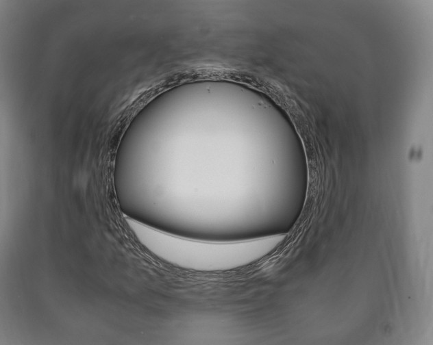 X0000090901157200707301005
