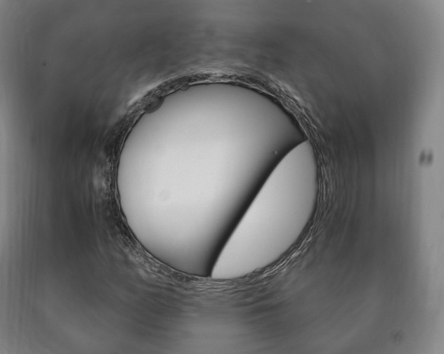 X0000090901158200707301005