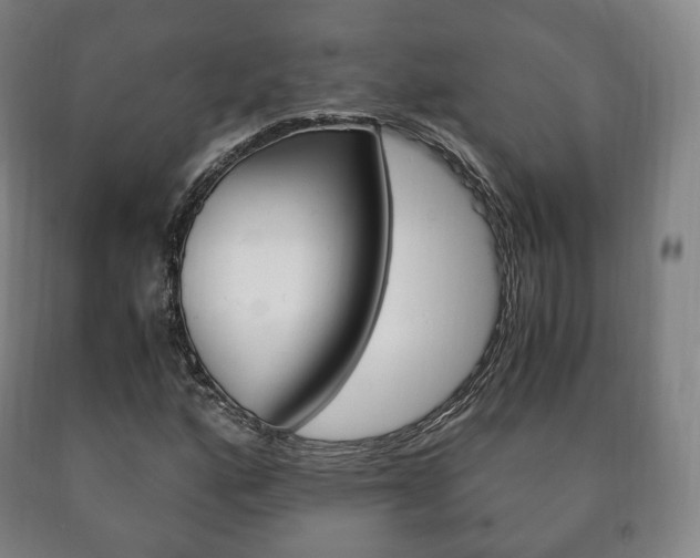 X0000090901160200707301005