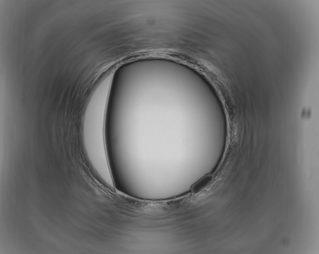 X0000090901161200707301005