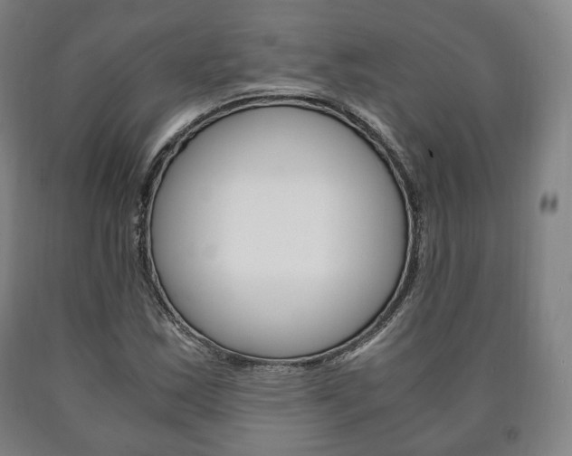 X0000090901163200707301005