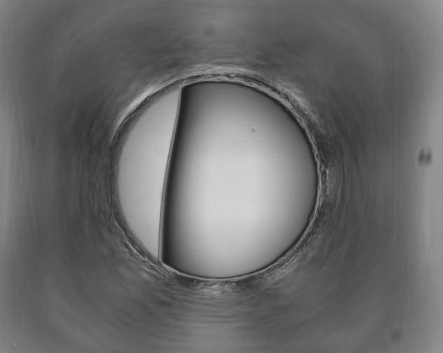 X0000090901165200707301005