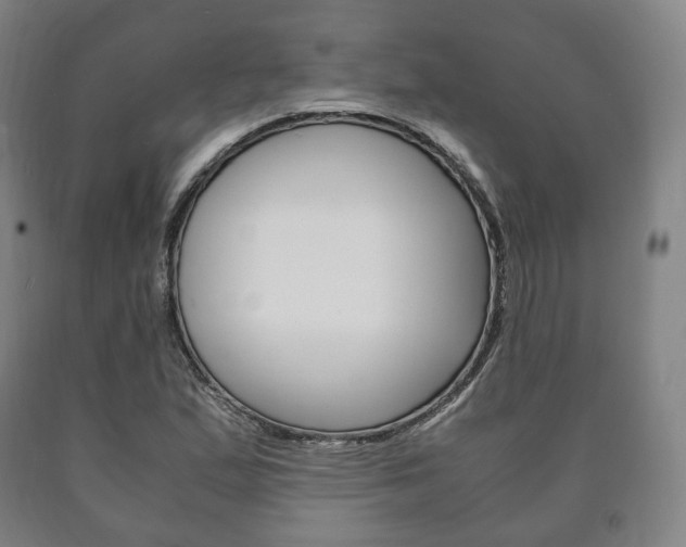 X0000090901167200707301005