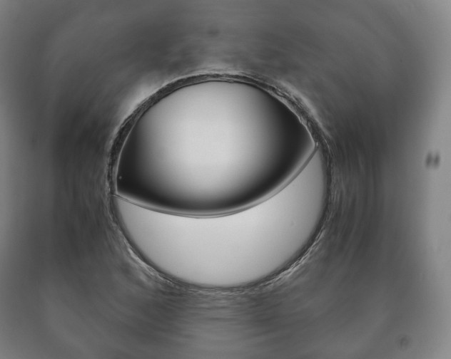 X0000090901168200707301005