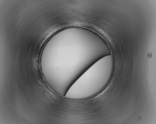 X0000090901170200707301005