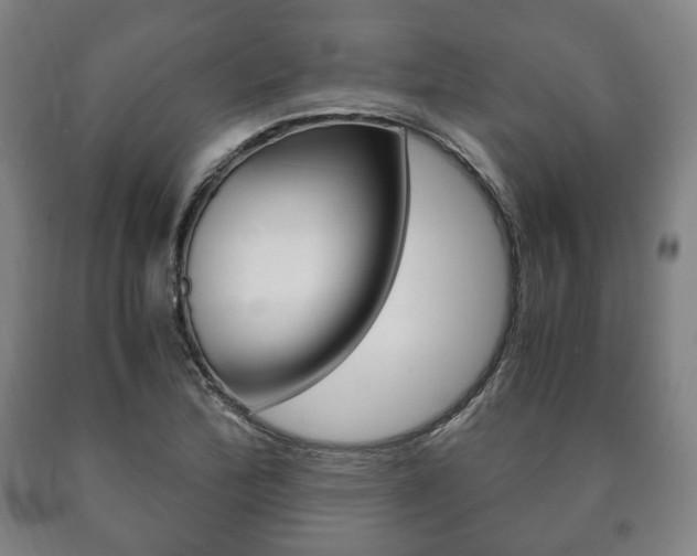 X0000090901172200707301005