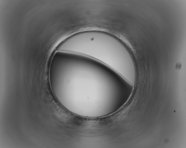 X0000090901173200707301005