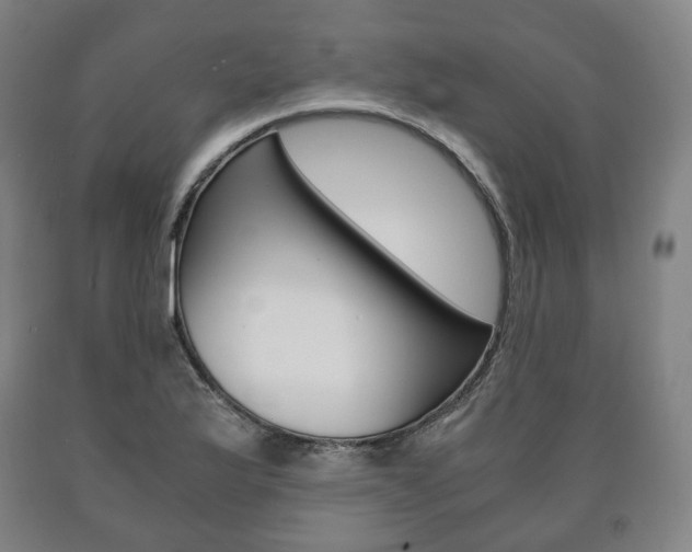 X0000090901175200707301005