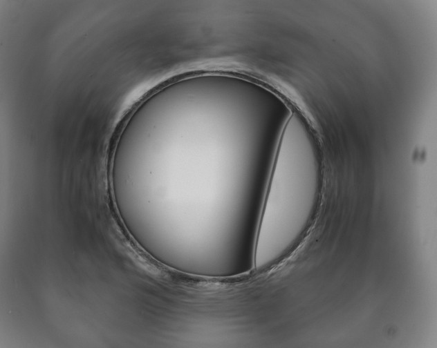 X0000090901176200707301005