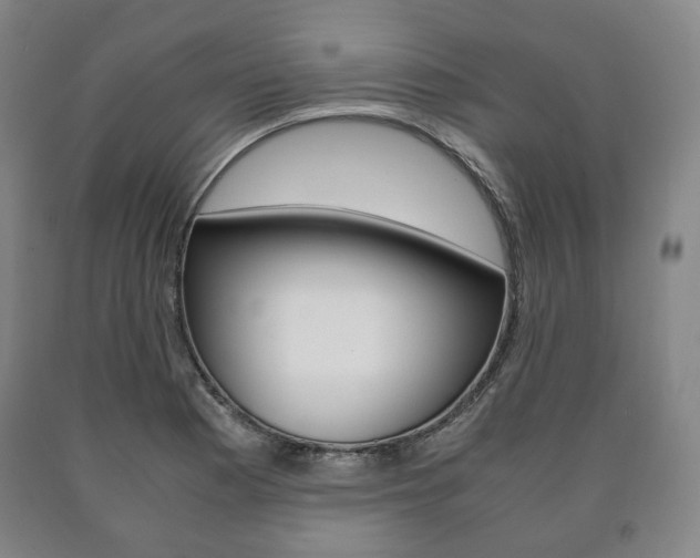 X0000090901177200707301005
