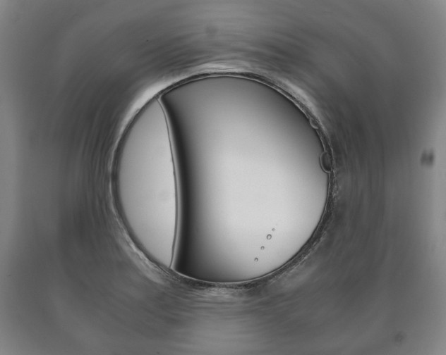 X0000090901179200707301005