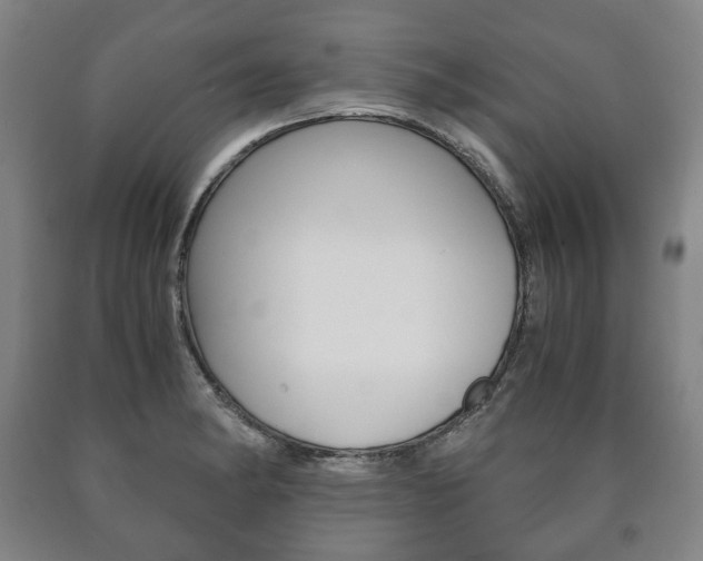 X0000090901182200707301005