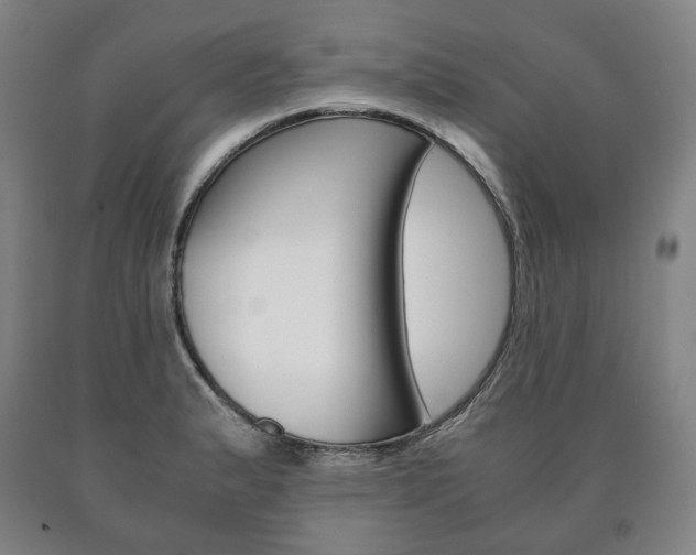 X0000090901183200707301005