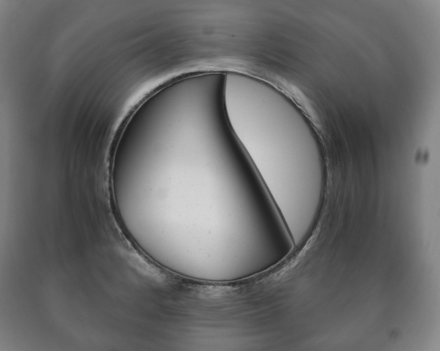 X0000090901184200707301005