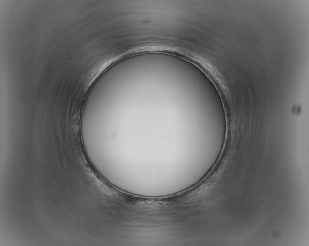 X0000090901185200707301005