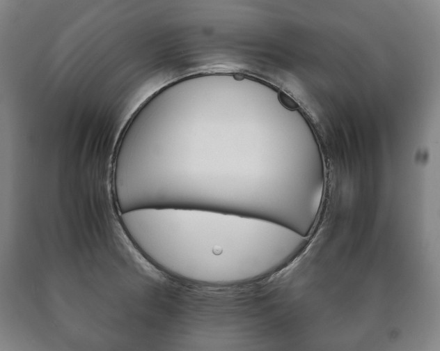 X0000090901186200707301005