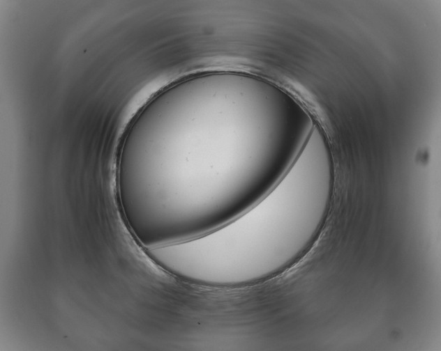 X0000090901188200707301005