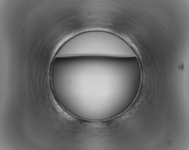 X0000090901189200707301005